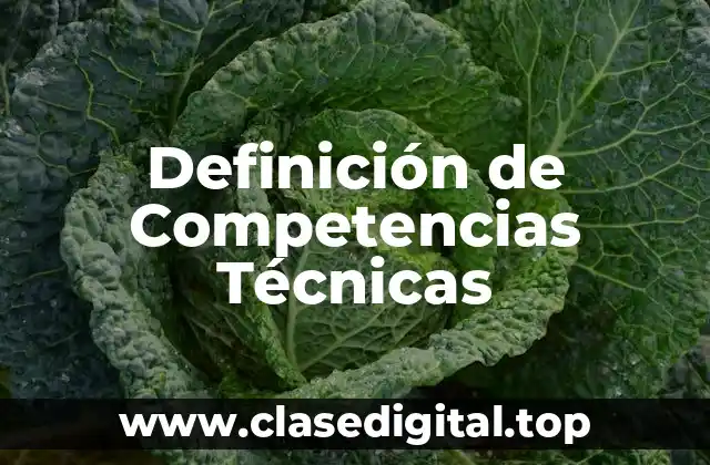 Definición de Competencias Técnicas
