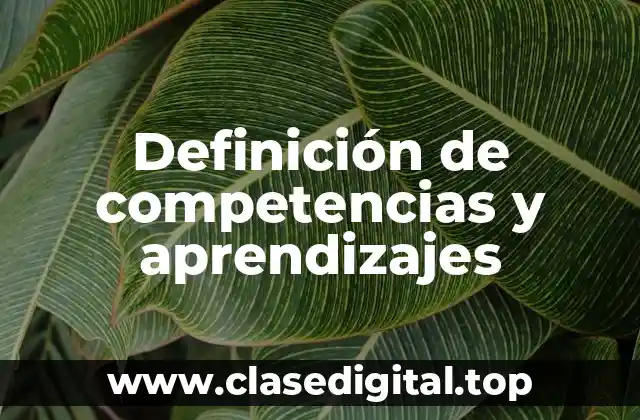 Definición de competencias y aprendizajes
