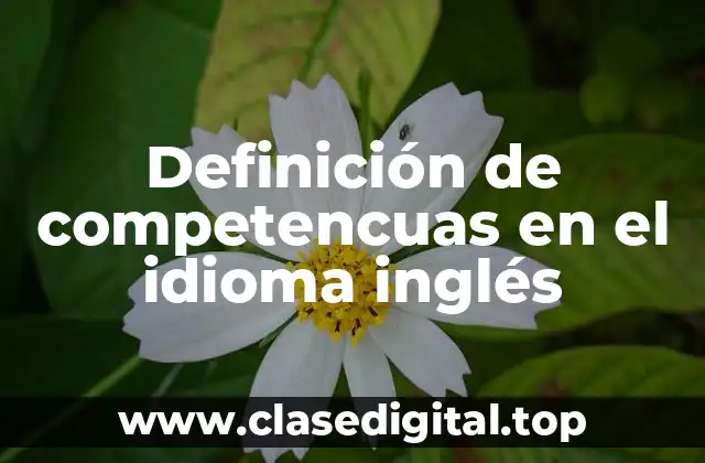 Definición de competencuas en el idioma inglés