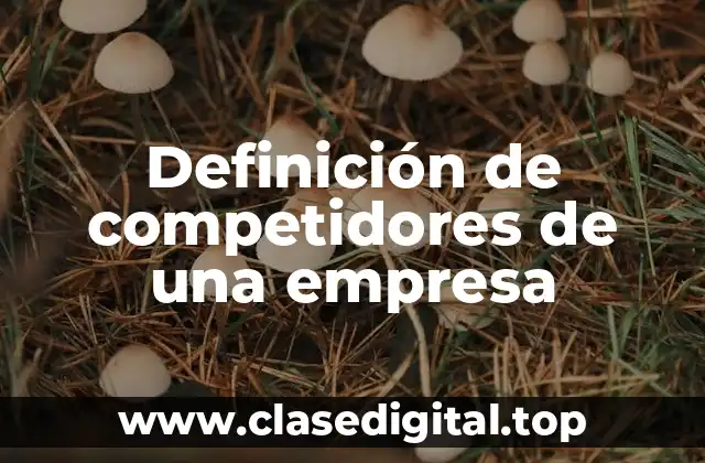 Definición de competidores de una empresa