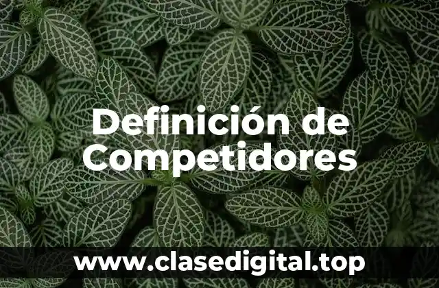Definición de Competidores