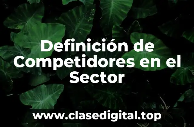 Definición de Competidores en el Sector
