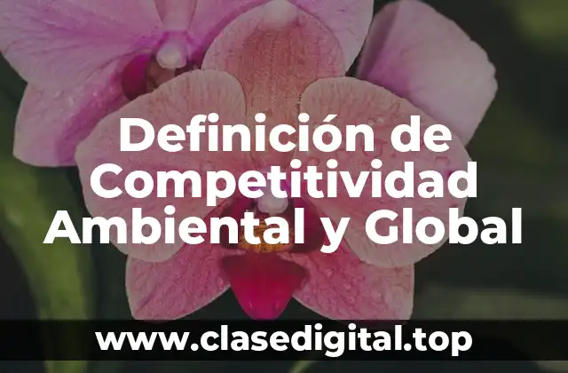 Definición de Competitividad Ambiental y Global