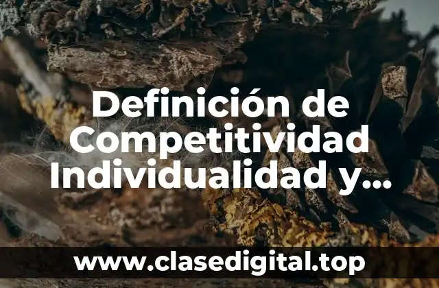 Definición de Competitividad Individualidad y Volatilidad de Paradigmas