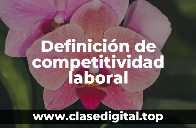 Definición de competitividad laboral