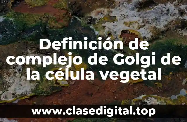 Definición de complejo de Golgi de la célula vegetal