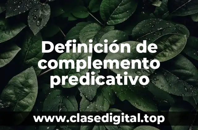 Definición de complemento predicativo