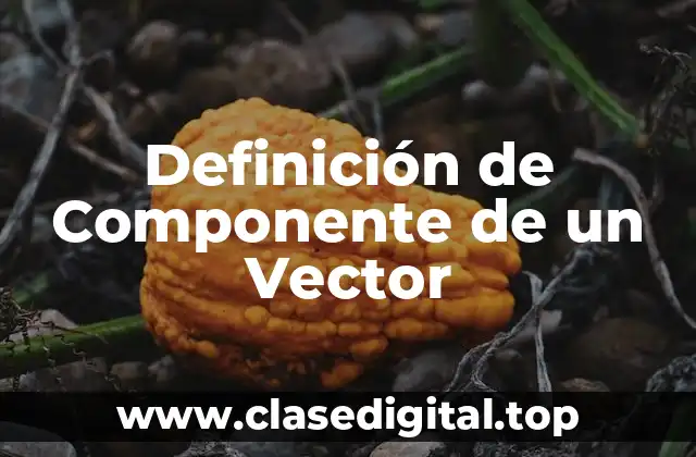 Definición de Componente de un Vector