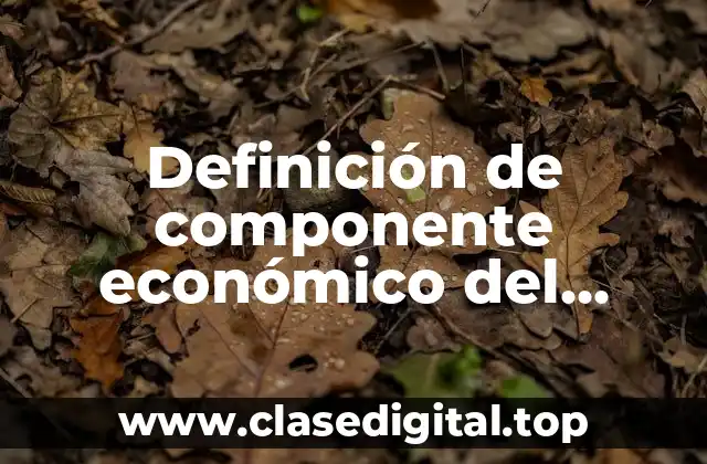 Definición de componente económico del espacio geográfico