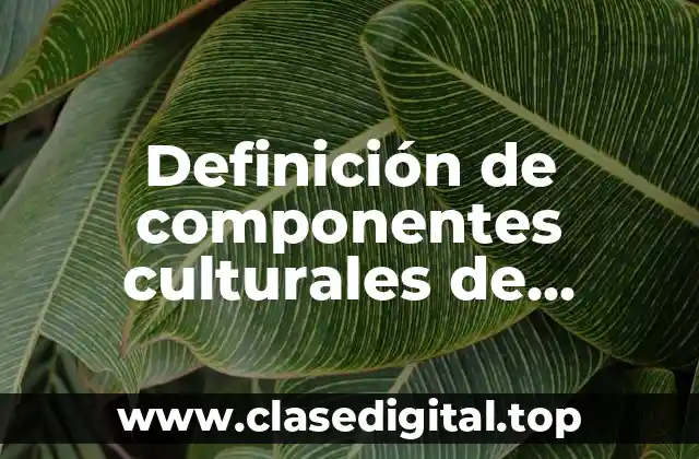 Definición de componentes culturales de Juchitán
