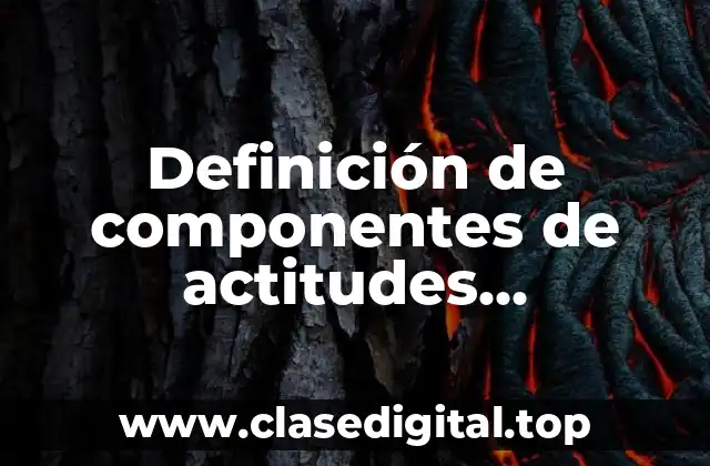 Ejemplos de componentes de actitudes discriminatorias