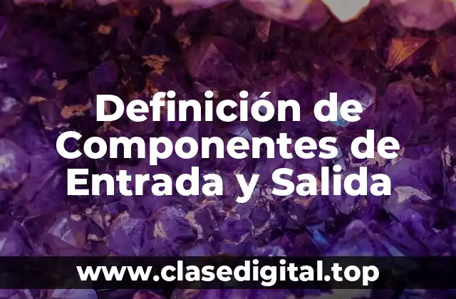 Definición técnica de Componentes de Entrada y Salida