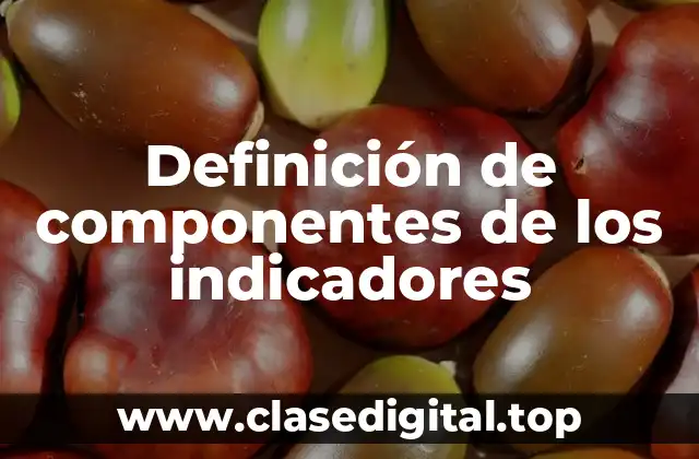 Definición de componentes de los indicadores