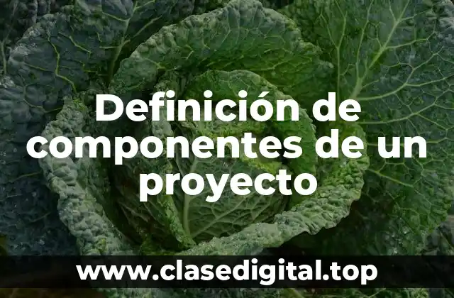 Definición de componentes de un proyecto