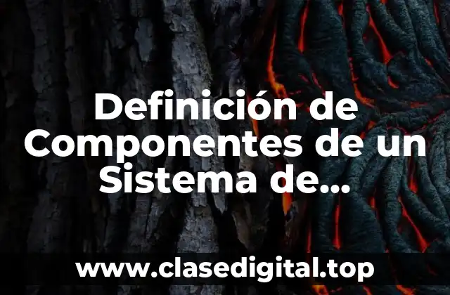 Definición de Componentes de un Sistema de Información Gerencial