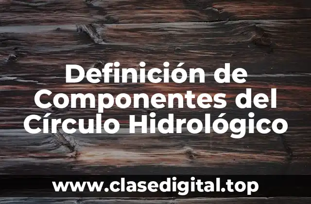 Definición Técnica de Componentes del Ciclo Hidrológico