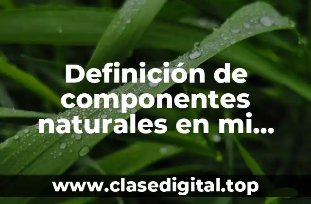 Ejemplos de componentes naturales en mi comunidad