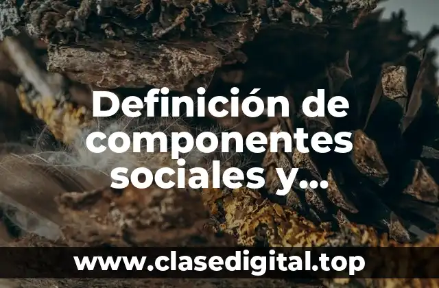 Definición de componentes sociales y económicos