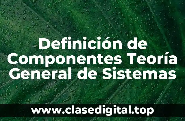 Definición de Componentes Teoría General de Sistemas