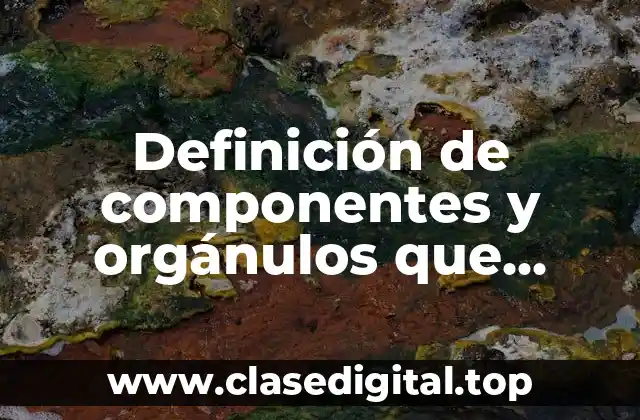 Definición de componentes y orgánulos que forman los glóbulos rojos