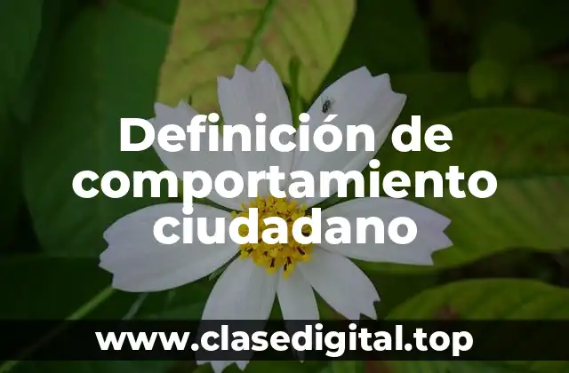Definición de comportamiento ciudadano