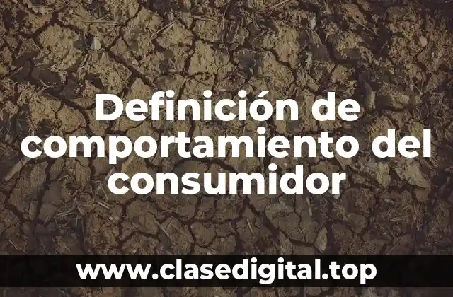 Definición técnica de comportamiento del consumidor