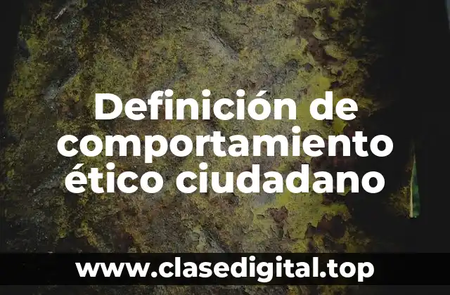 Definición de comportamiento ético ciudadano