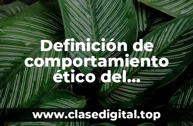 Definición de comportamiento ético del investigador en internet