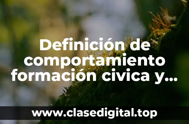 Definición de comportamiento formación civica y ética secundaria