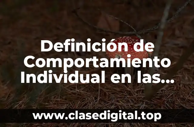 Definición de Comportamiento Individual en las Organizaciones