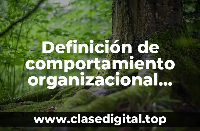 Definición de comportamiento organizacional SlideShare