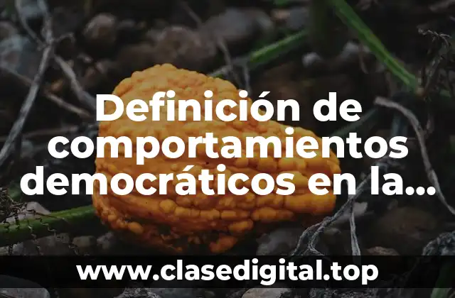 Definición de comportamientos democráticos en la escuela