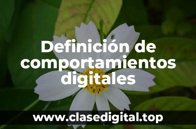 Definición de comportamientos digitales