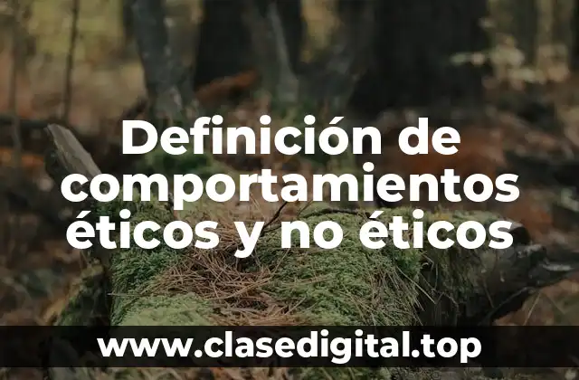 Definición de comportamientos éticos y no éticos
