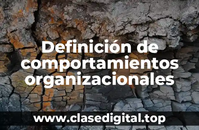Definición de comportamientos organizacionales
