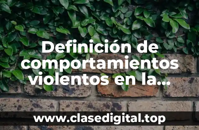 Definición de comportamientos violentos en la familia