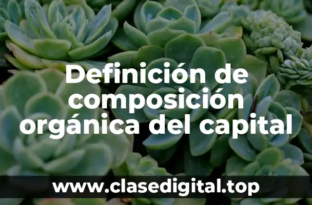 Definición de composición orgánica del capital