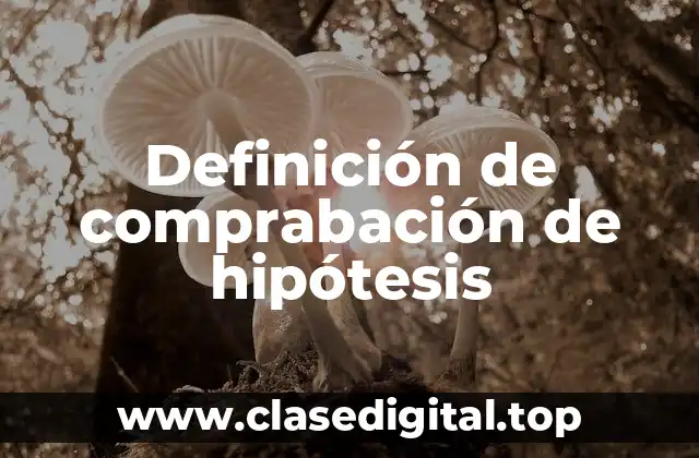 Definición de comprabación de hipótesis