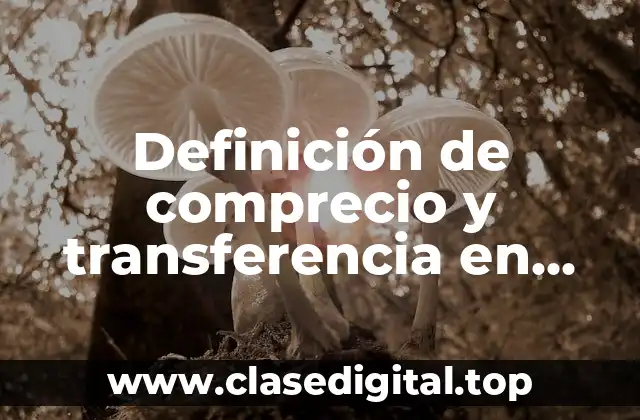 Definición de comprecio y transferencia en plásticos