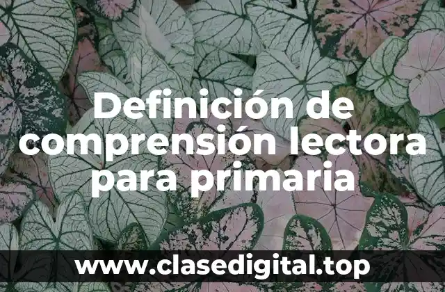 Definición de comprensión lectora para primaria