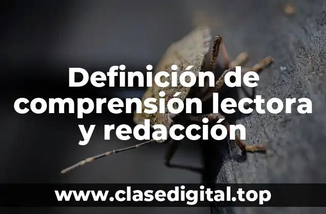 Definición de comprensión lectora y redacción