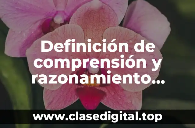 Definición de comprensión y razonamiento numérico