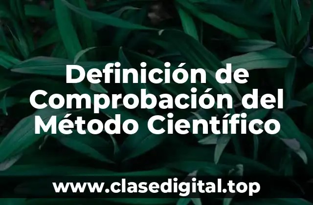 Definición de Comprobación del Método Científico