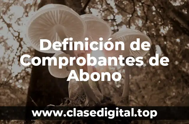 Definición de Comprobantes de Abono