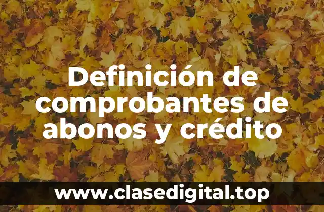 Definición de comprobantes de abonos y crédito