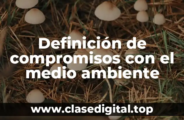 Definición de compromisos con el medio ambiente