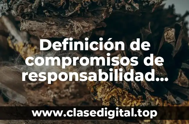 Definición de compromisos de responsabilidad social