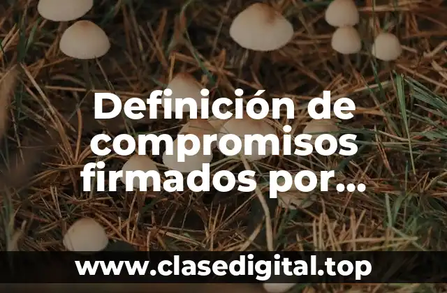 Ejemplos de compromisos firmados por alumnos