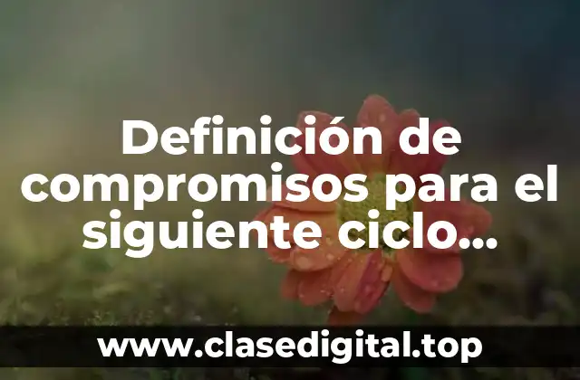 Ejemplos de compromisos para el siguiente ciclo escolar