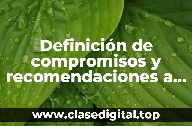 Ejemplos de compromisos y recomendaciones a un maestro regular